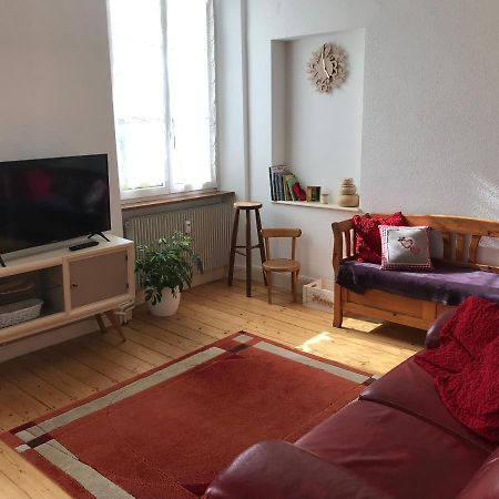 Le Clos Des Iris - Gite Rural 95 M2 Tout Confort En Alsace Bossue Domfessel Ngoại thất bức ảnh
